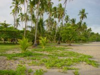 Strand van Tambor.