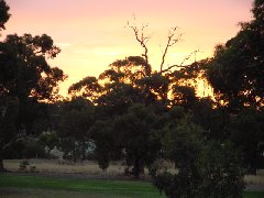 Tanunda Golf Club sunset