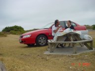 Picknick in den Duenen  Foxton Beach