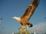 Adler in Kuah