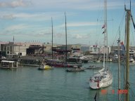 Alinghi