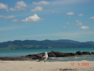 Kuoatunu Beach 