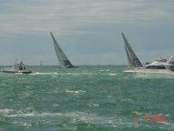 Team NZ und Alinghi