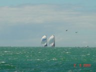 Team NZ und Alinghi