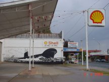 Go well-go Shell !  