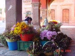 Bloemenverkoop