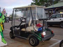 Buggy mit Hunde(schwarzer auf Sitz und weisser hinten)