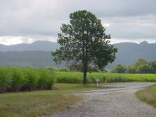 Hinterland landschap