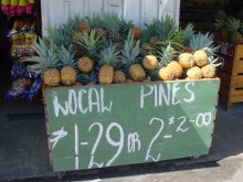 Ananas in der Gegend von Caloundra