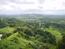 Blackall Ranges