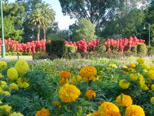 Toowoomba Park