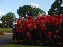 Toowoomba Park