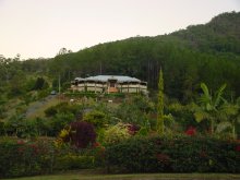 Grote Queenslander bij Murwillumbah. 