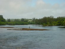 Kind vangt met een net de vissen uit de rivier.