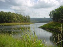 Hinze Dam