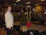 Singapore vliegveld met orchideen