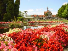 Rotorua