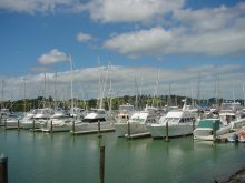 Haven Bay of Islands