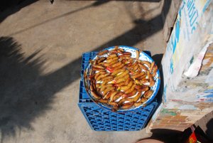 son platanos fritos o gusanos ?