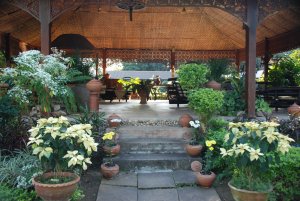 Maekok River Village Resort oeffentliche Terrasse.