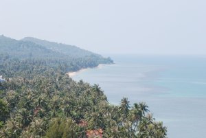 Ausblick aus unserem Haus Richtung Westen.