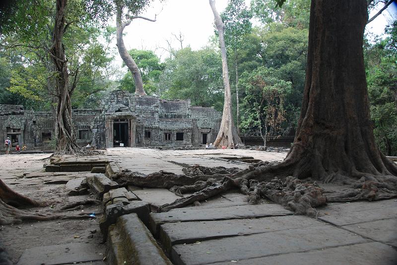 DSC_0193.JPG - Ta Prohm.