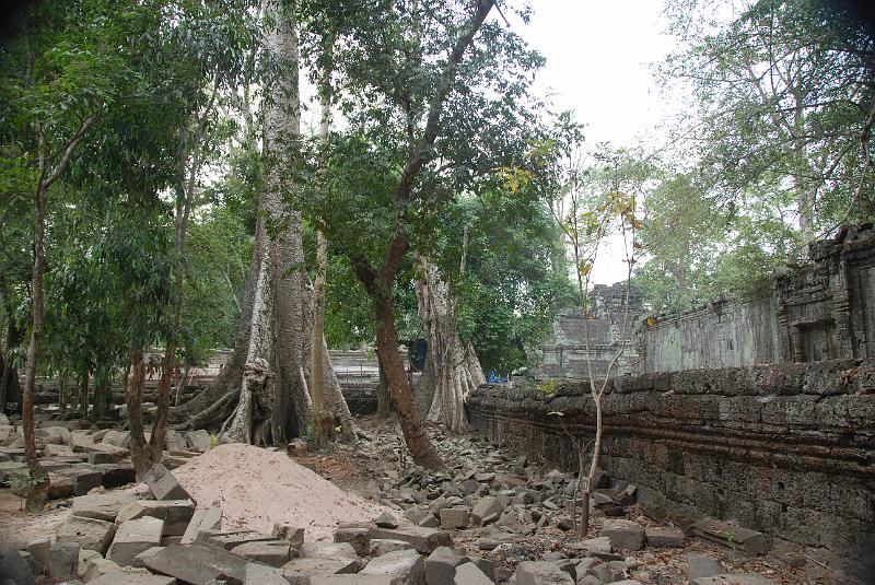 DSC_0196.JPG - Ta Prohm.