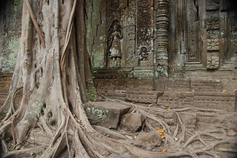 DSC_0197.JPG - Ta Prohm.