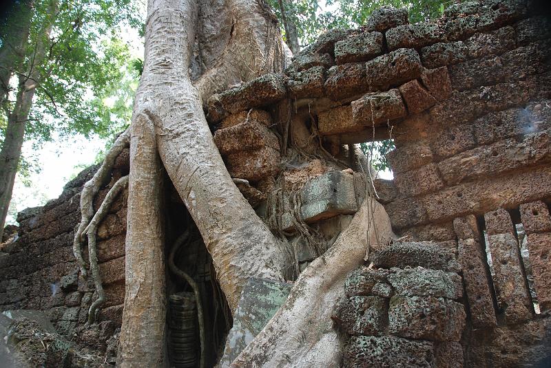 DSC_0203.JPG - Ta Prohm.