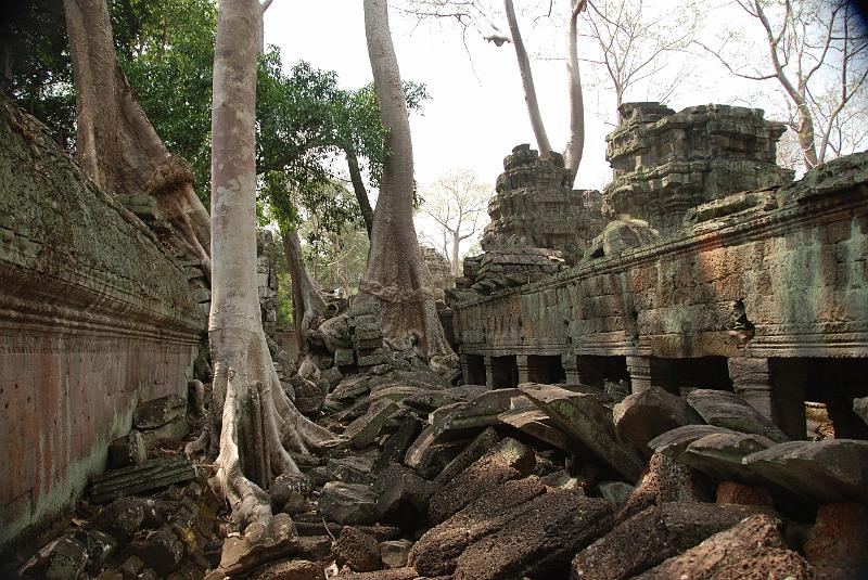 DSC_0205.JPG - Ta Prohm.