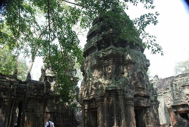 DSC_0209.JPG - Ta Prohm.