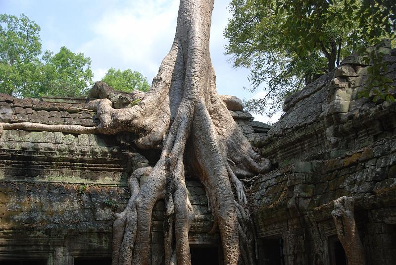 DSC_0213.JPG - Ta Prohm.