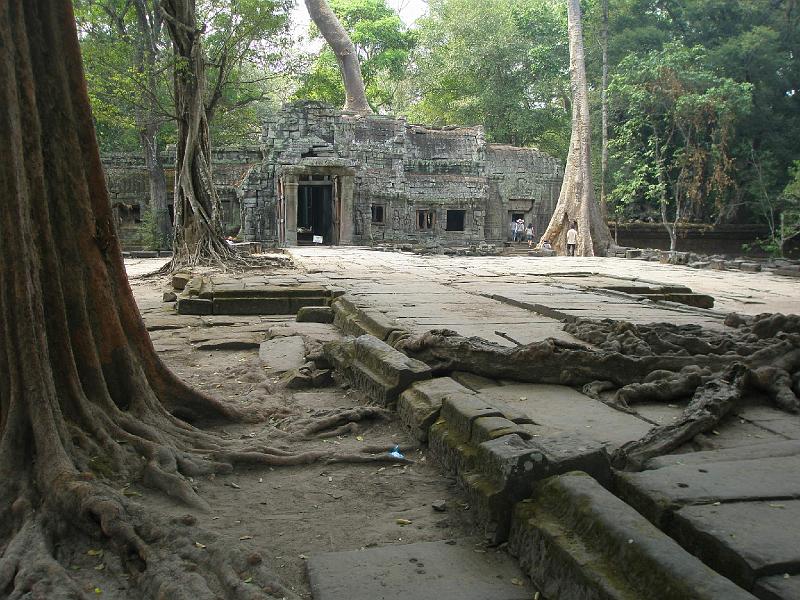 P2260488.JPG - Ta Prohm.