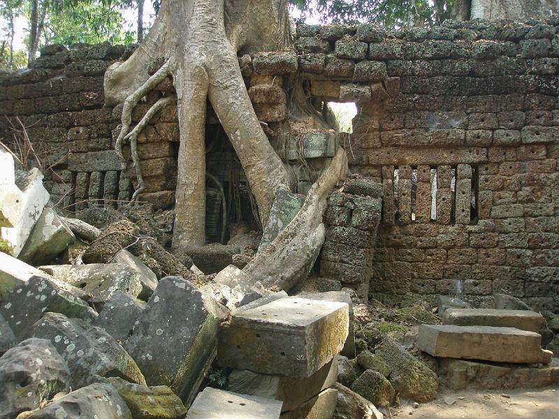 P2260491.JPG - Ta Prohm.
