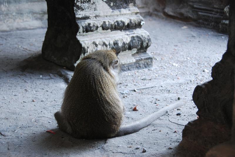 DSC_0317.JPG - Angkor Wat