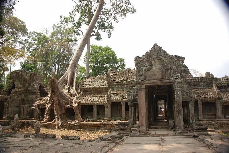 DSC_0386.JPG - Ta Keo