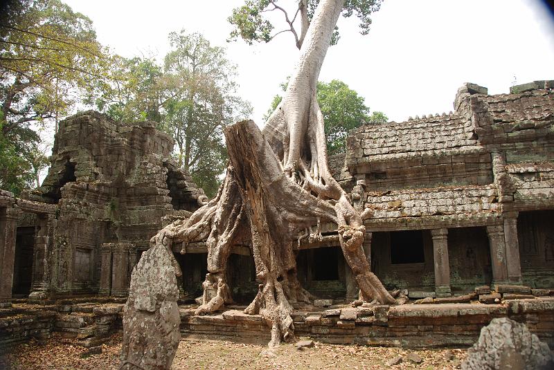 DSC_0387.JPG - Ta Keo