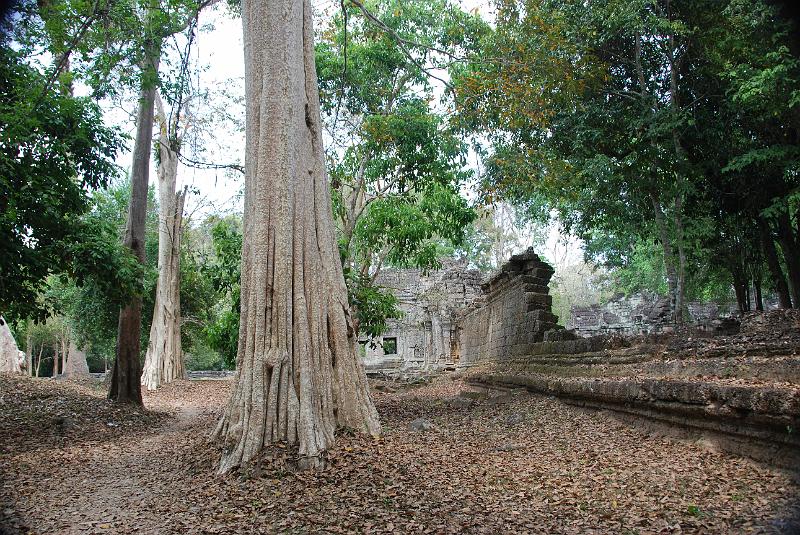 DSC_0418.JPG - Ta Keo