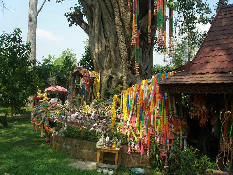 P3030542.JPG - Temple
