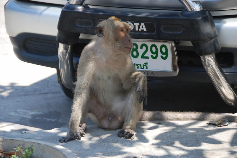 DSC_0637.JPG