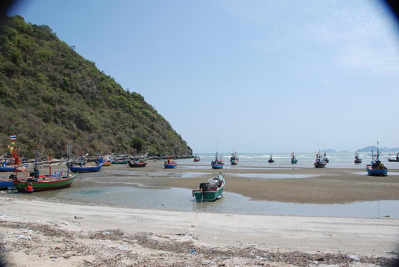 DSC_0857.JPG