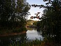 P2110109