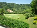 P2150078