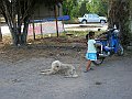P2210115