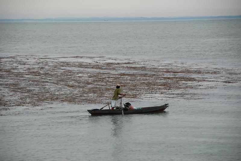 DSC_0041.JPG - Bintan Fisher.