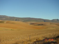 Tolle Landschaft zwischen Cape Angulhas und Hermanus.