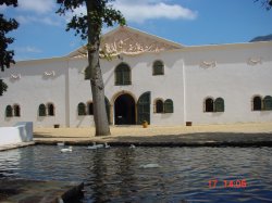 Groot Constantia