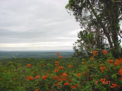 uitzicht vanaf de Zuurberg