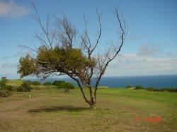 Mosselbaai Golf Course