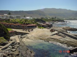 Hermanus
